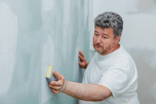 Best Drywall Sanding and Smoothing  in Campton Hls, IL